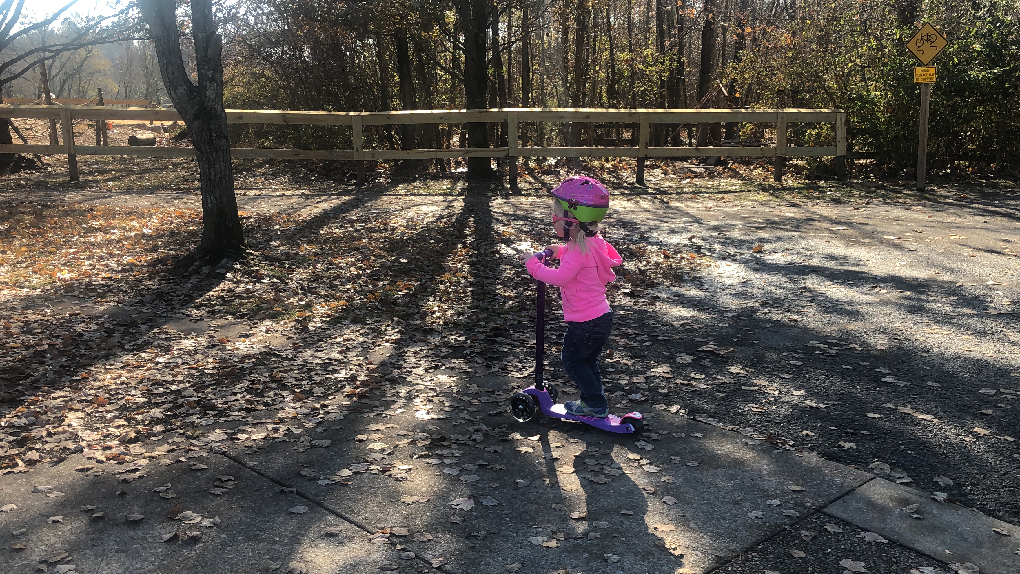 small girl on a purple scooter at a park